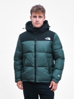 Куртка мужская THE NORTH FACE L339