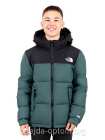 Куртка для мальчика The North Face L339-1